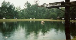 Boats to cruise around the lake in