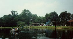 Picnic shelter overlooking the lake