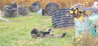paintballpic