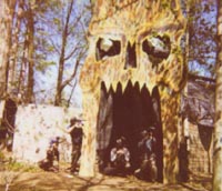 paintballpic