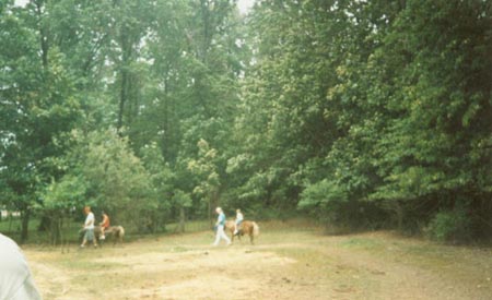 Nice pony rides for the kids