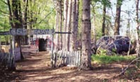 woods